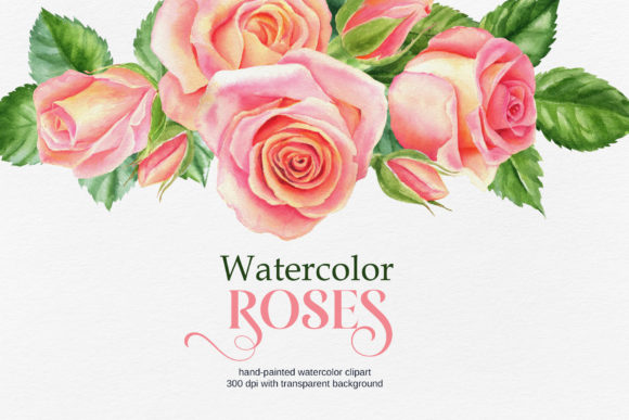 Blush Roses Clipart & Wedding Bouquets for Designers